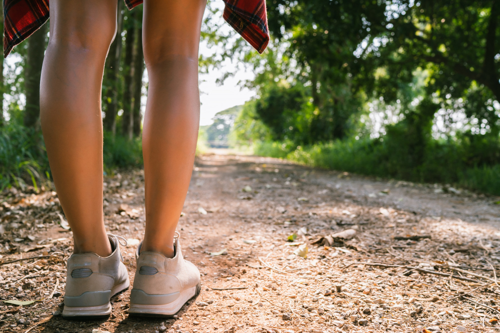 Featured image for “Exploring the Best Shaded Parks and Trails for a Florida Summer”