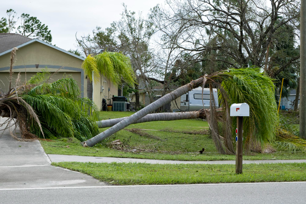 Featured image for “The Essential Homeowners Guide to Hurricane Season Waste Management”