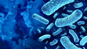 | Clean Cans is your neighborhood trash can cleaning service, serving residential and commercial customers in Central Florida! Sign up online today!