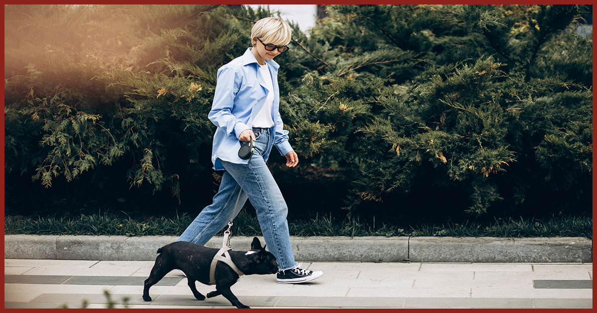 Featured image for “A Guide to Orlando’s Best Dog Parks and Pet-Friendly Spots”