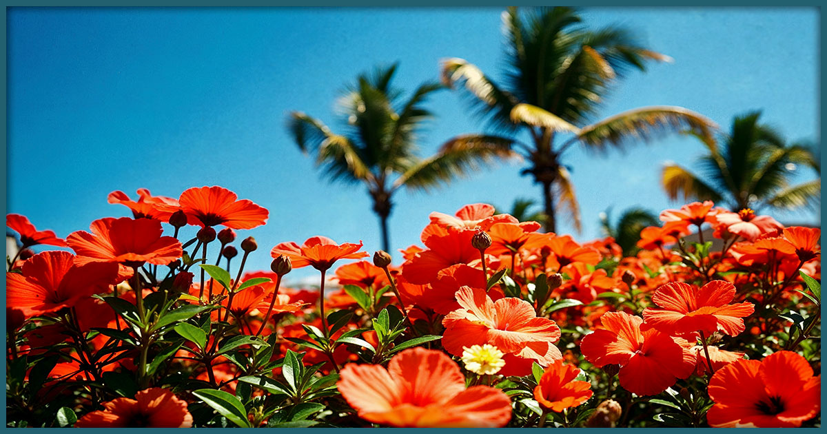 Featured image for “A Locals Guide to the 2026 EPCOT Flower and Garden Festival”