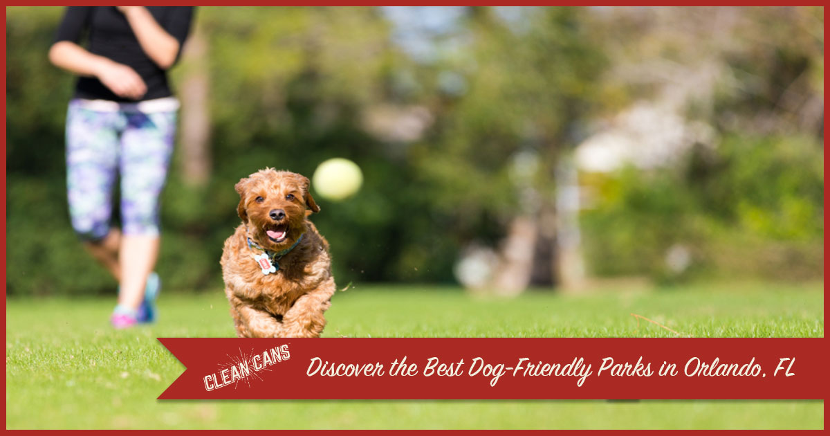 Featured image for “Discover the Best Dog-Friendly Parks in Orlando, FL”