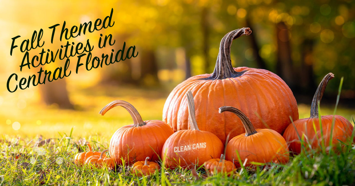 Featured image for “Fall Themed Activities in Central Florida”