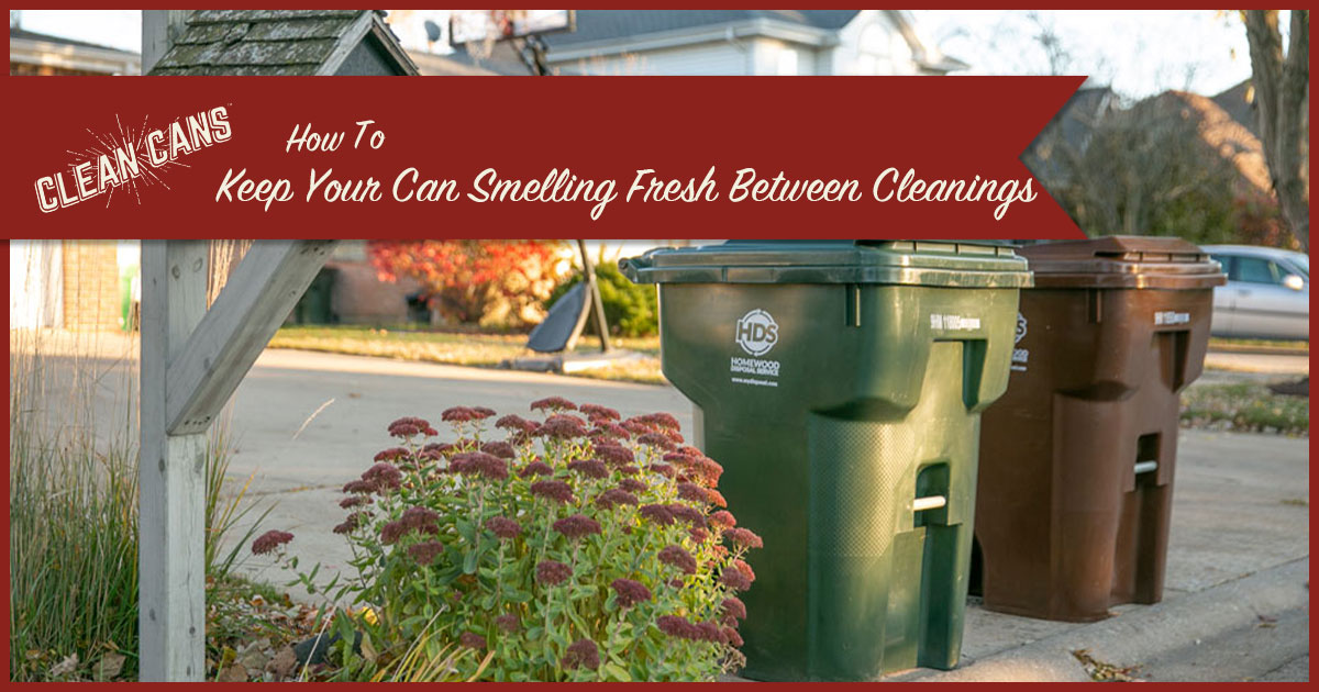 How to Keep Your Can Smelling Fresh Between Cleanings Clean Cans