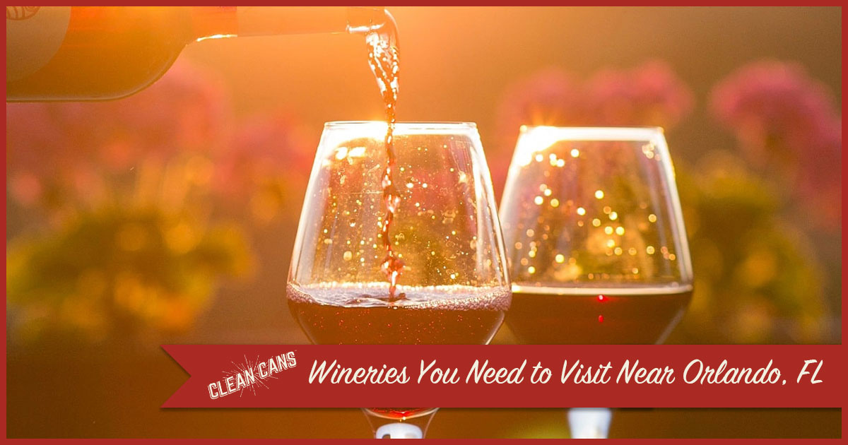Featured image for “Wineries You Need to Visit Near Orlando, FL”