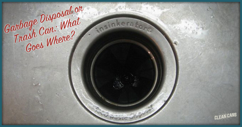 Garbage Disposal or Trash Can What Goes Where? Clean Cans