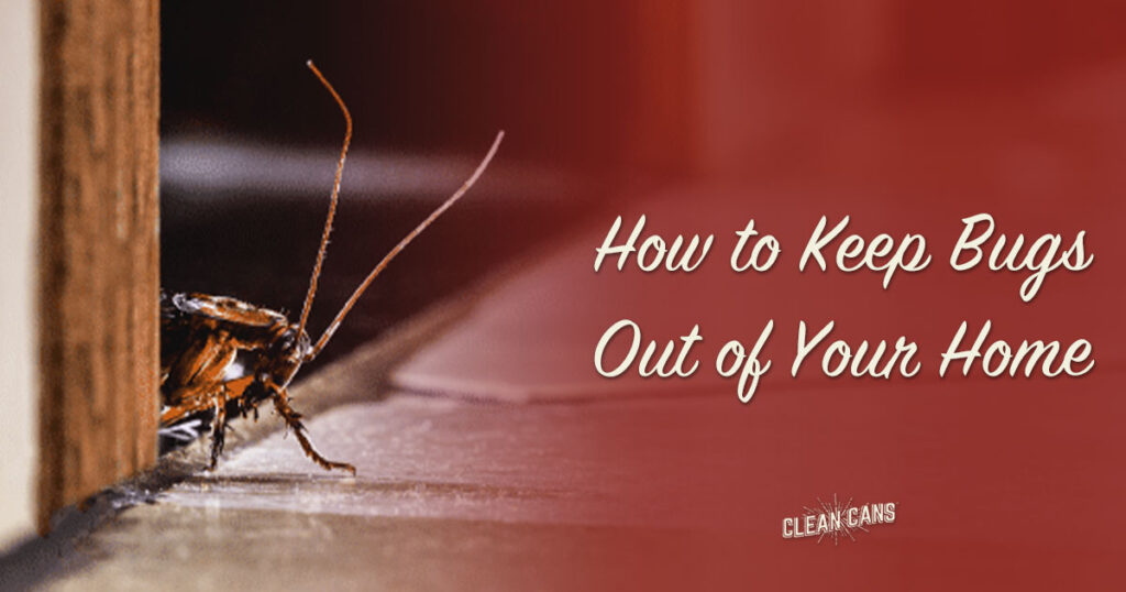 How to Keep Bugs Out of Your Home - Clean Cans