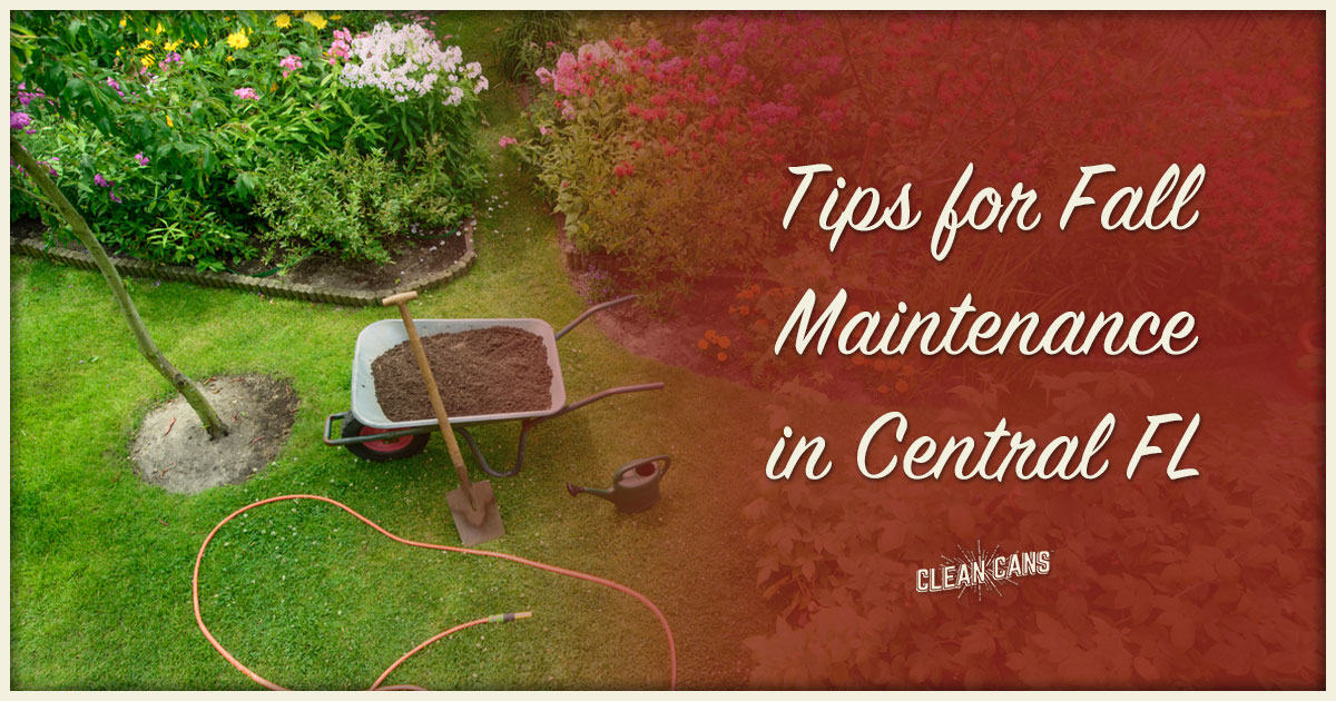 Featured image for “Tips for Fall Lawn Maintenance in Central FL”