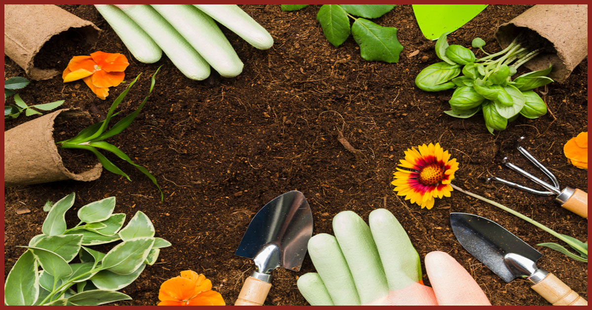Featured image for “Winter Gardening Tips for a Beautiful Central Florida Spring”