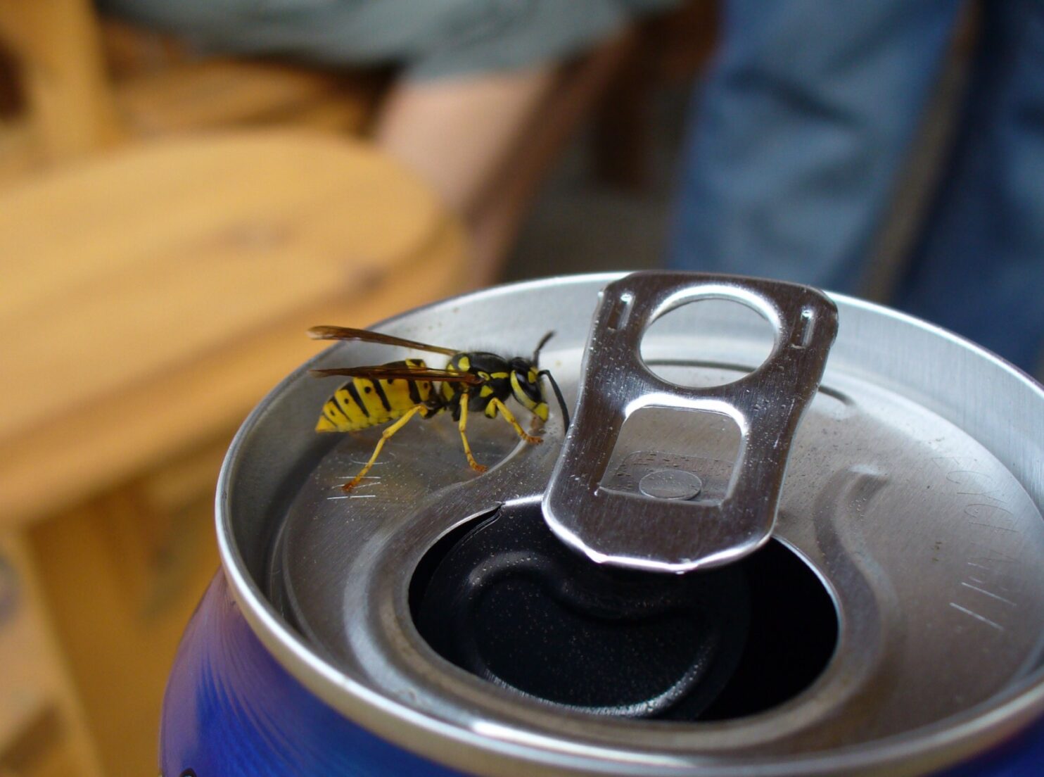 Four Dangers of Having a Dirty Trash Can - Clean Cans