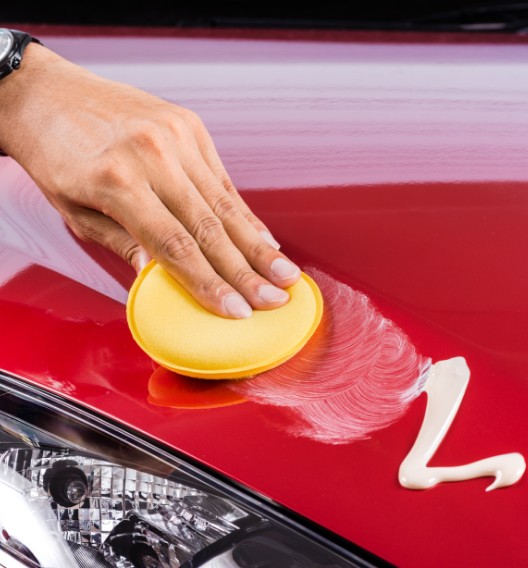How to Get Love Bugs Off Your Car Clean Cans