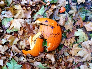 | Clean Cans is your neighborhood trash can cleaning service, serving residential and commercial customers in Central Florida! Sign up online today!