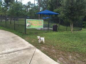 | Clean Cans Is Your Neighborhood Trash Can Cleaning Service, Serving Residential And Commercial Customers In Central Florida! Sign Up Online Today!