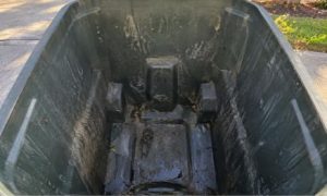 | Clean Cans Is Your Neighborhood Trash Can Cleaning Service, Serving Residential And Commercial Customers In Central Florida! Sign Up Online Today!