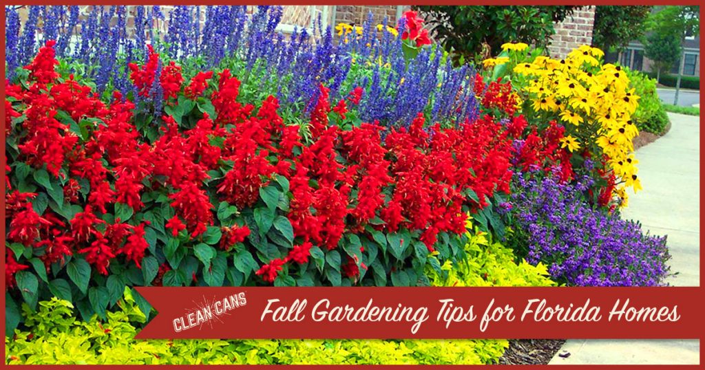 Fall Gardening Tips for Florida Homes Clean Cans