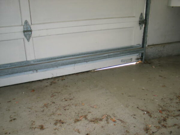 How to Keep Bugs Out of Your Garage - Clean Cans