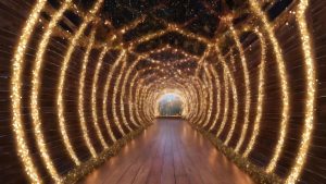 | Clean Cans is your neighborhood trash can cleaning service, serving residential and commercial customers in Central Florida! Sign up online today!