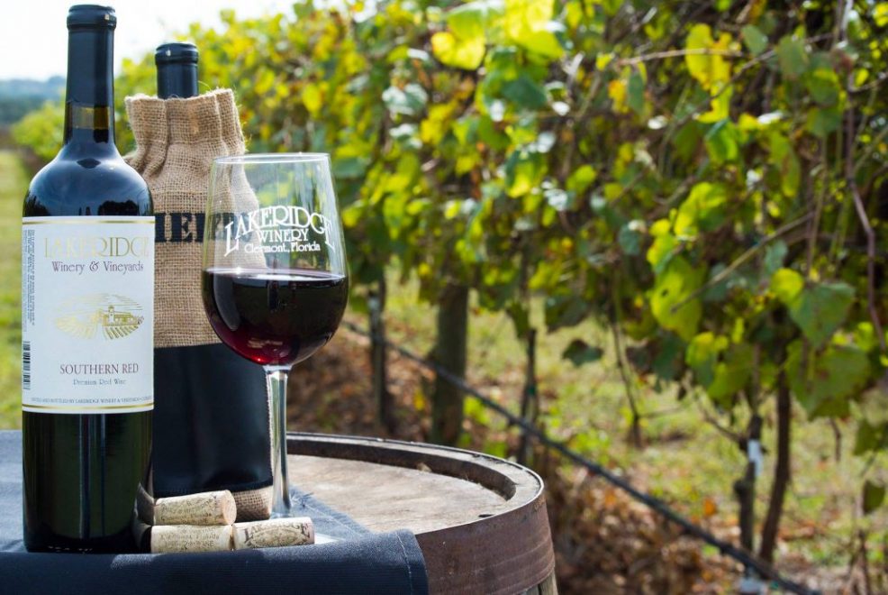 Wineries You Need to Visit Near Orlando, FL Clean Cans