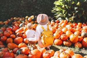 | Clean Cans is your neighborhood trash can cleaning service, serving residential and commercial customers in Central Florida! Sign up online today!