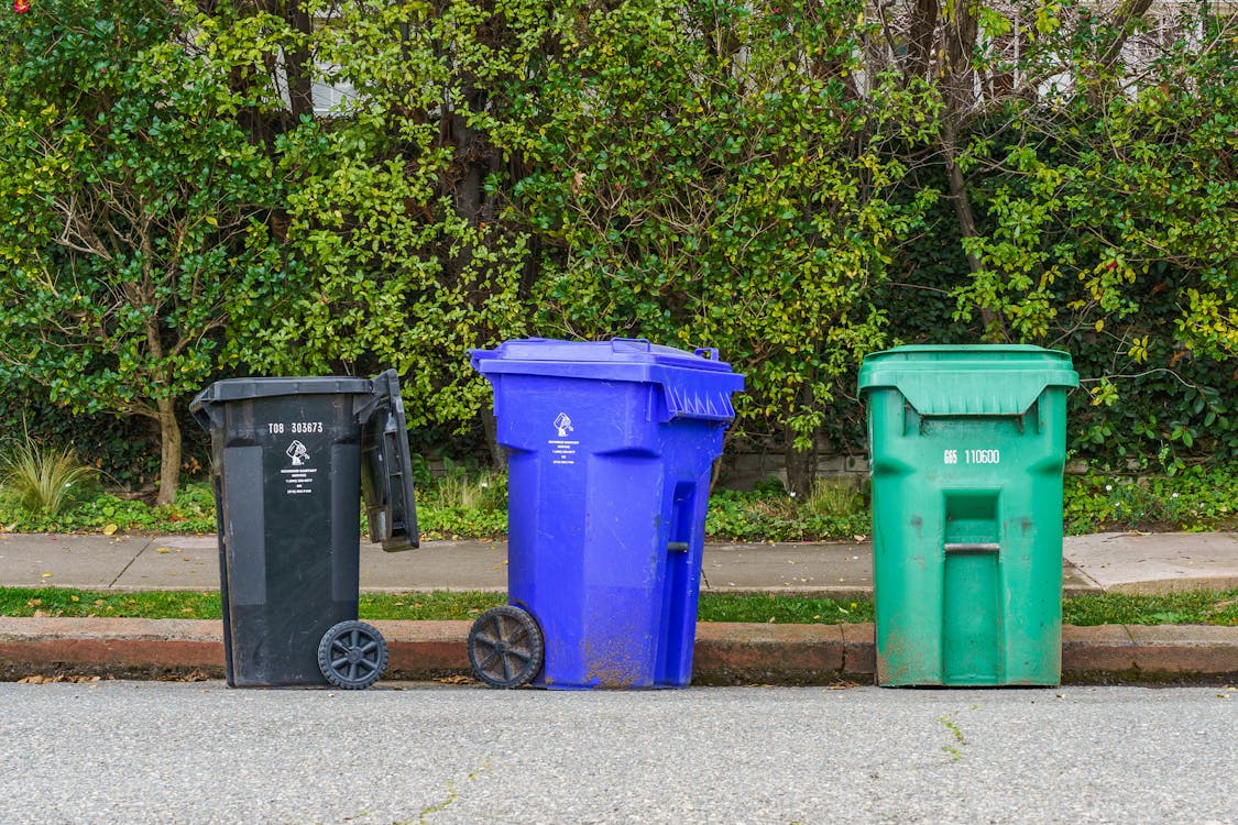 Featured image for “Why Do Trash Cans Smell So Bad in Florida?”