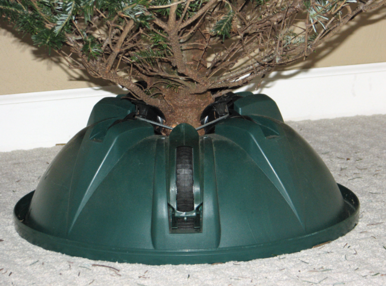 How To Find, Care For, and Dispose of a Live Christmas Tree in Central Florida Clean Cans